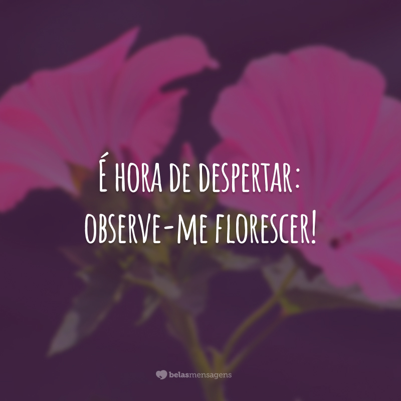 É hora de despertar: observe-me florescer!