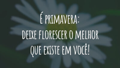 É primavera: deixe florescer o melhor que existe em você!