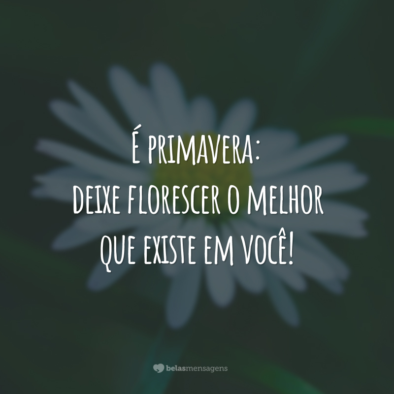 É primavera: deixe florescer o melhor que existe em você!