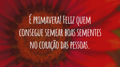É primavera! Feliz quem consegue semear boas sementes no coração das pessoas.