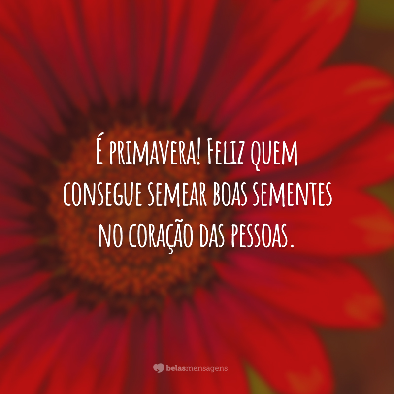 É primavera! Feliz quem consegue semear boas sementes no coração das pessoas.