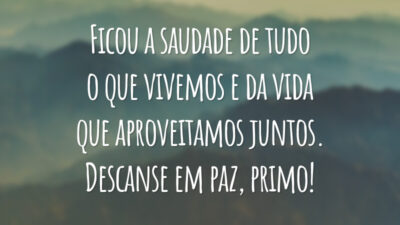 Ficou a saudade de tudo o que vivemos e da vida que aproveitamos juntos. Descanse em paz, primo!