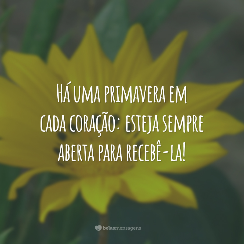 Há uma primavera em cada coração: esteja sempre aberta para recebê-la!