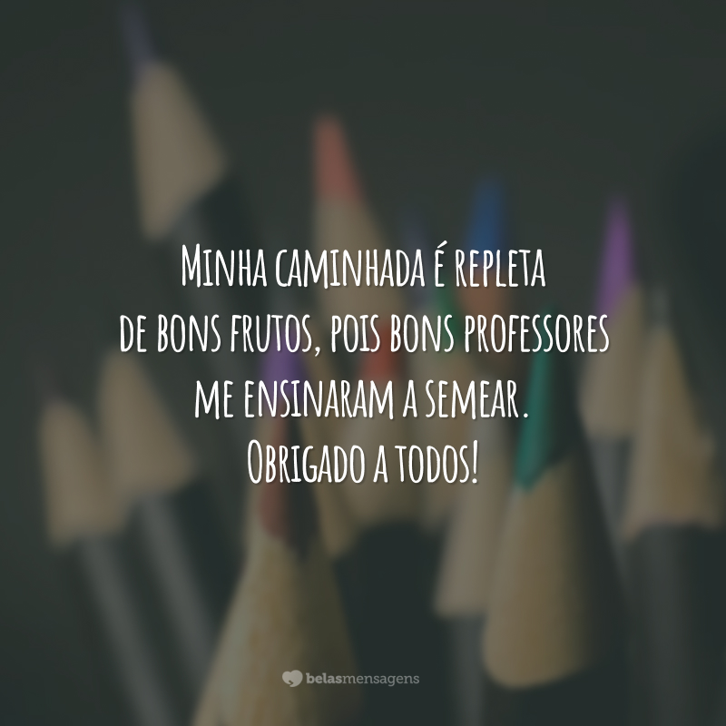 Minha caminhada é repleta de bons frutos, pois bons professores me ensinaram a semear. Obrigado a todos!