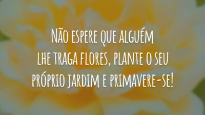 Não espere que alguém lhe traga flores, plante o seu próprio jardim e primavere-se!