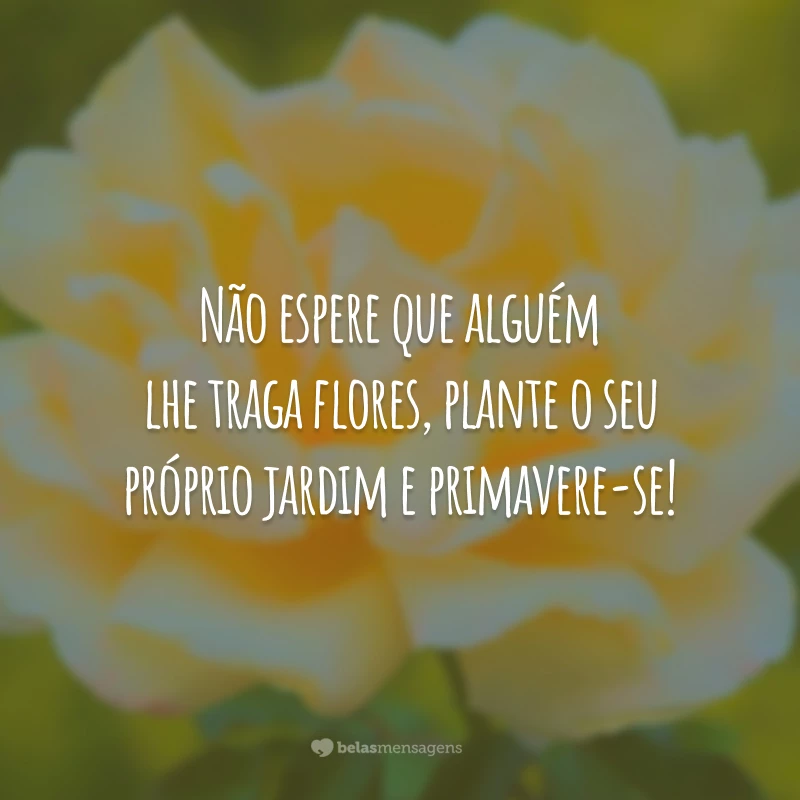 Não espere que alguém lhe traga flores, plante o seu próprio jardim e primavere-se!