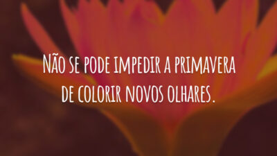 Não se pode impedir a primavera de colorir novos olhares.