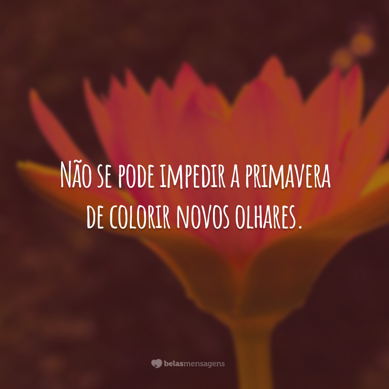 Não se pode impedir a primavera de colorir novos olhares.