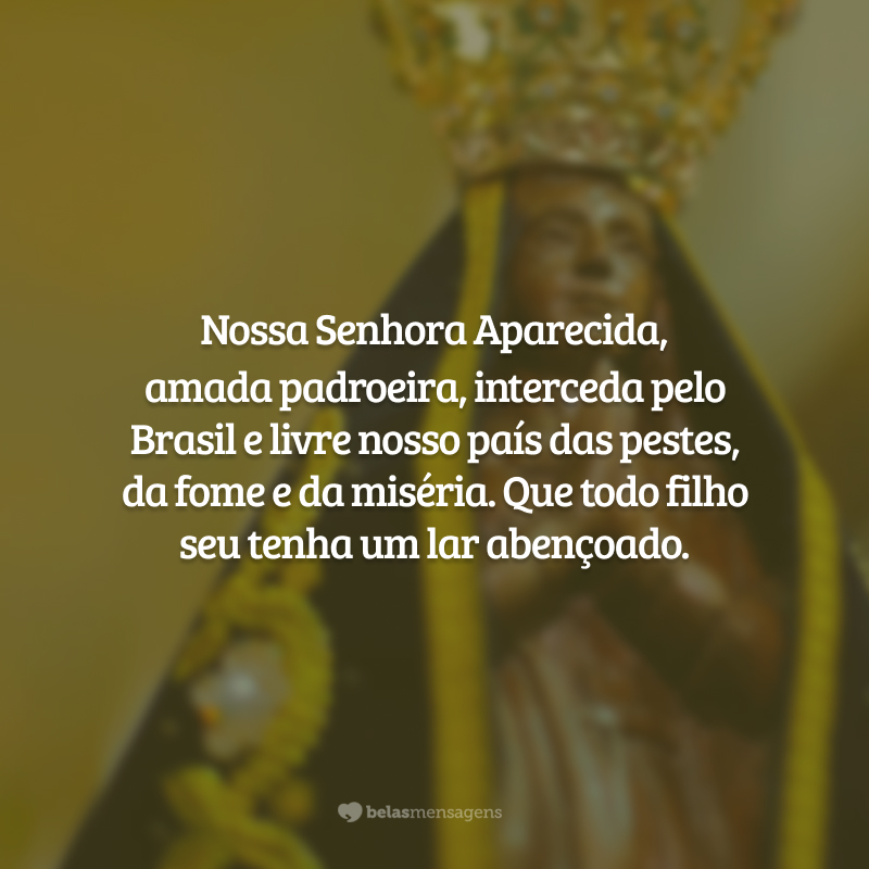 Nossa Senhora Aparecida, amada padroeira, interceda pelo Brasil e livre nosso país das pestes, da fome e da miséria. Que todo filho seu tenha um lar abençoado.