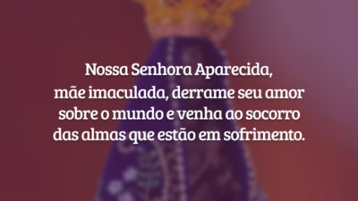 Nossa Senhora Aparecida, mãe imaculada, derrame seu amor sobre o mundo e venha ao socorro das almas que estão em sofrimento.
