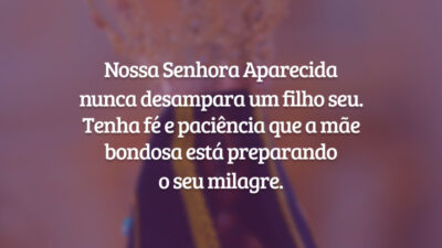 Nossa Senhora Aparecida nunca desampara um filho seu. Tenha fé e paciência que a mãe bondosa está preparando o seu milagre.