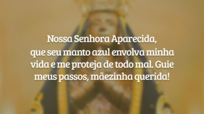 Nossa Senhora Aparecida, que seu manto azul envolva minha vida e me proteja de todo mal. Guie meus passos, mãezinha querida!