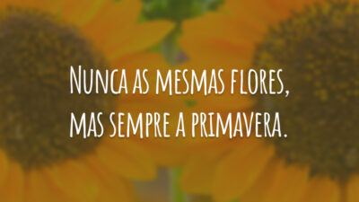 Nunca as mesmas flores, mas sempre a primavera.