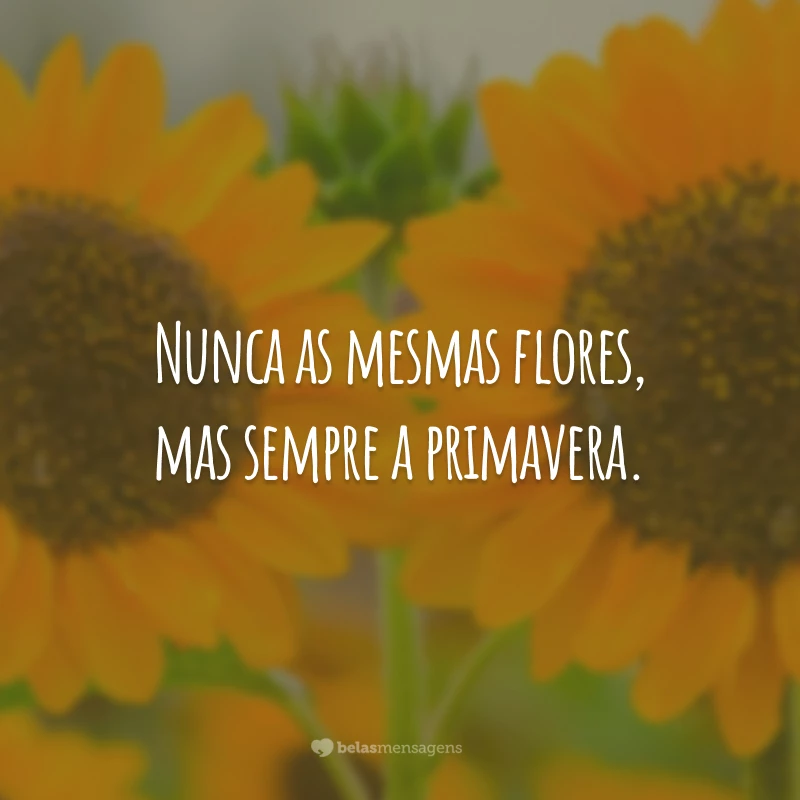 Nunca as mesmas flores, mas sempre a primavera.