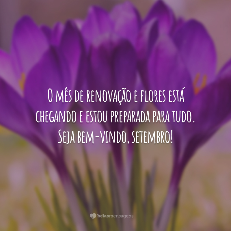 O mês de renovação e flores está chegando e estou preparada para tudo. Seja bem-vindo, setembro!