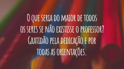 O que seria do maior de todos os seres se não existisse o professor? Gratidão pela dedicação e por todas as orientações.