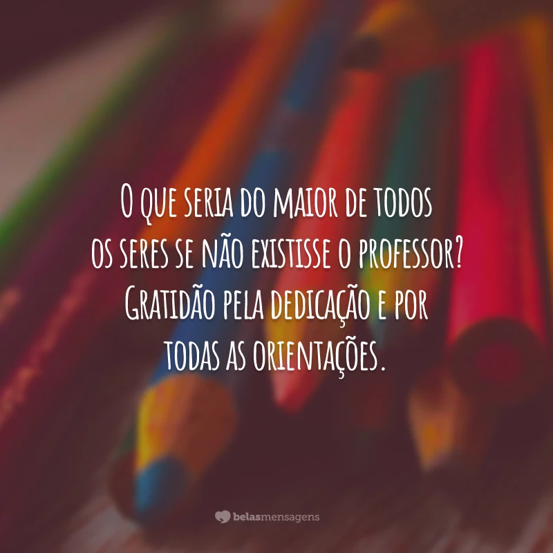 O que seria do maior de todos os seres se não existisse o professor? Gratidão pela dedicação e por todas as orientações.