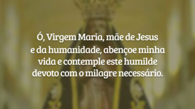 Ó, Virgem Maria, mãe de Jesus e da humanidade, abençoe minha vida e contemple este humilde devoto com o milagre necessário.