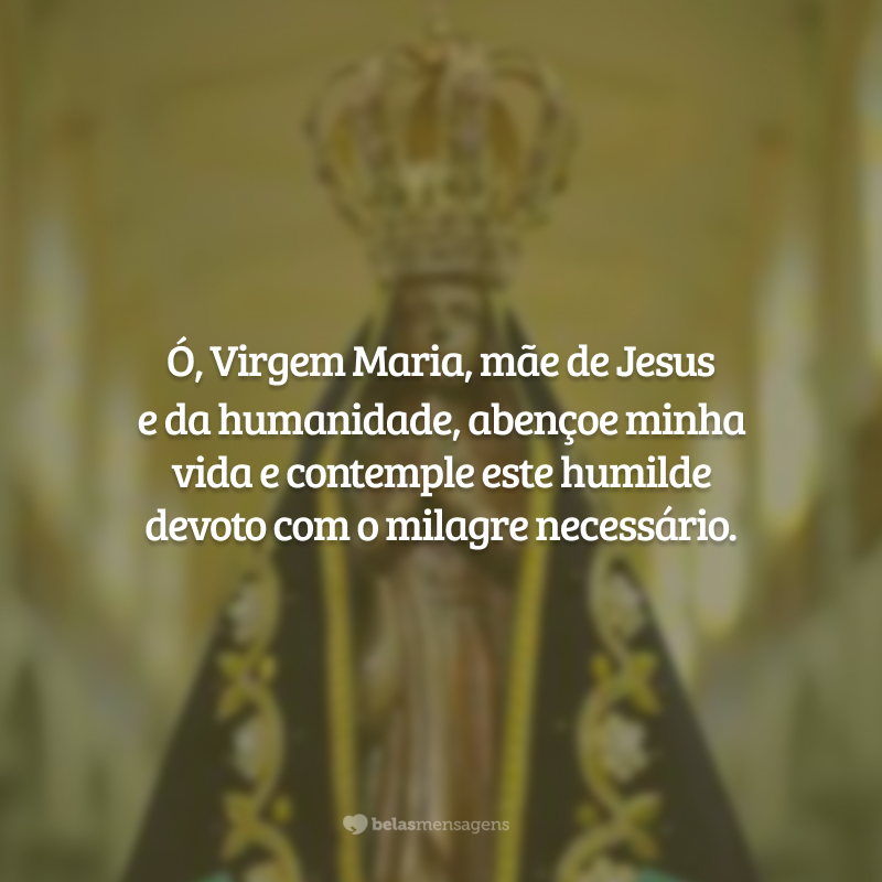 Ó, Virgem Maria, mãe de Jesus e da humanidade, abençoe minha vida e contemple este humilde devoto com o milagre necessário.