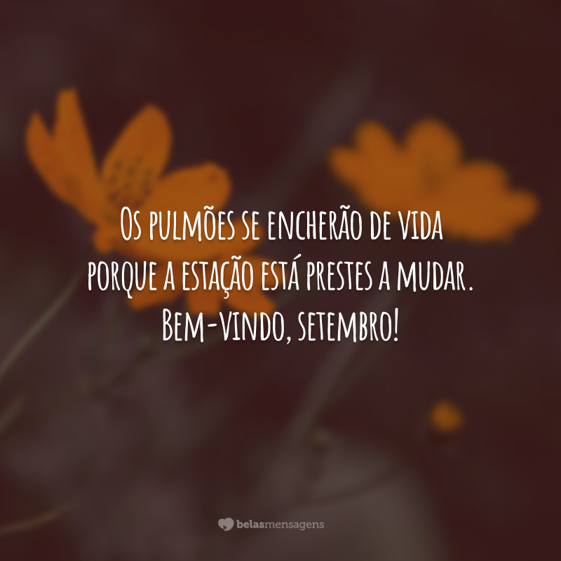 Os pulmões se encherão de vida porque a estação está prestes a mudar. Bem-vindo, setembro!