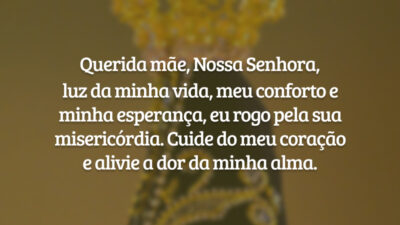 Querida mãe, Nossa Senhora, luz da minha vida, meu conforto e minha esperança, eu rogo pela sua misericórdia. Cuide do meu coração e alivie a dor da minha alma.