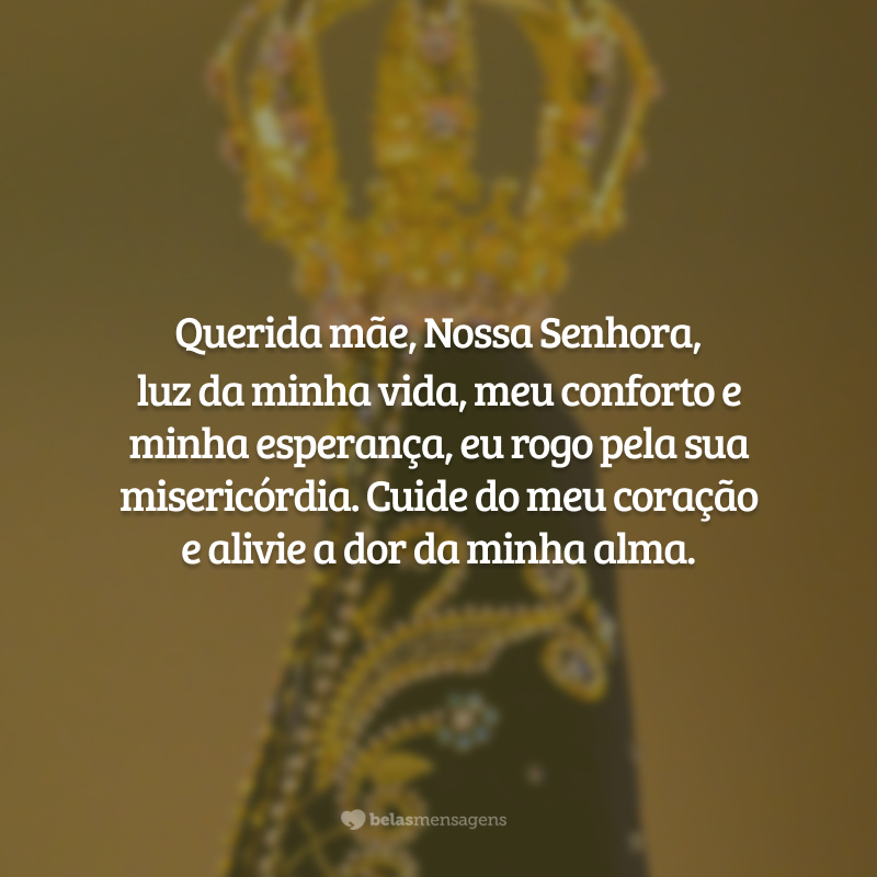 Querida mãe, Nossa Senhora, luz da minha vida, meu conforto e minha esperança, eu rogo pela sua misericórdia. Cuide do meu coração e alivie a dor da minha alma.