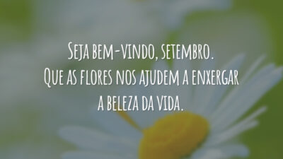 Seja bem-vindo, setembro. Que as flores nos ajudem a enxergar a beleza da vida.