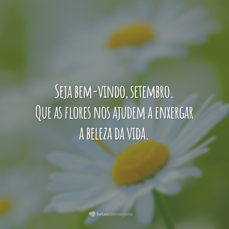 Seja bem-vindo, setembro. Que as flores nos ajudem a enxergar a beleza da vida.