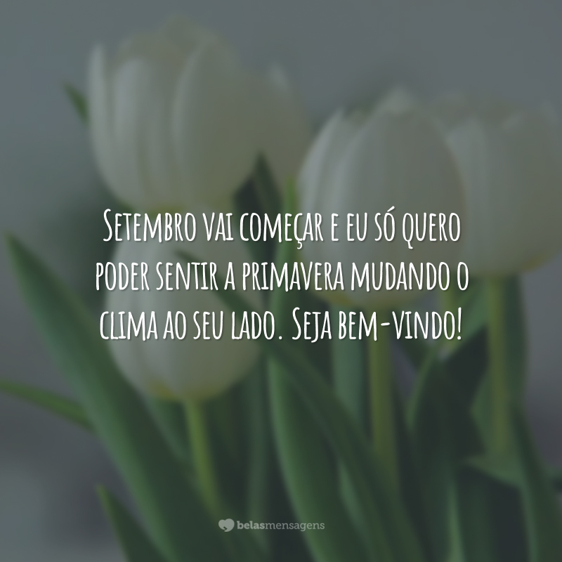 Setembro vai começar e eu só quero poder sentir a primavera mudando o clima ao seu lado. Seja bem-vindo!