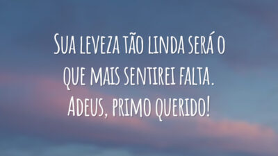 Sua leveza tão linda será o que mais sentirei falta. Adeus, primo querido!
