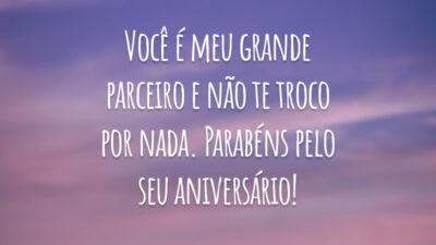 Você é meu grande parceiro e não te troco por nada. Parabéns pelo seu aniversário!
