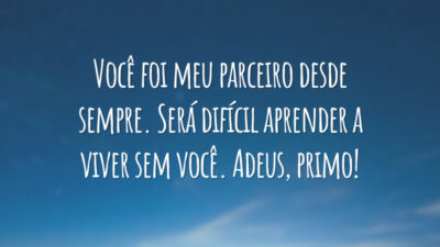 Você foi meu parceiro desde sempre. Será difícil aprender a viver sem você. Adeus, primo!