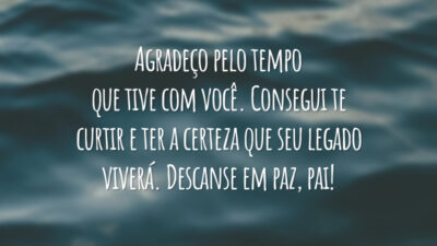 Agradeço pelo tempo que tive com você. Consegui te curtir e ter a certeza que seu legado viverá. Descanse em paz, pai!