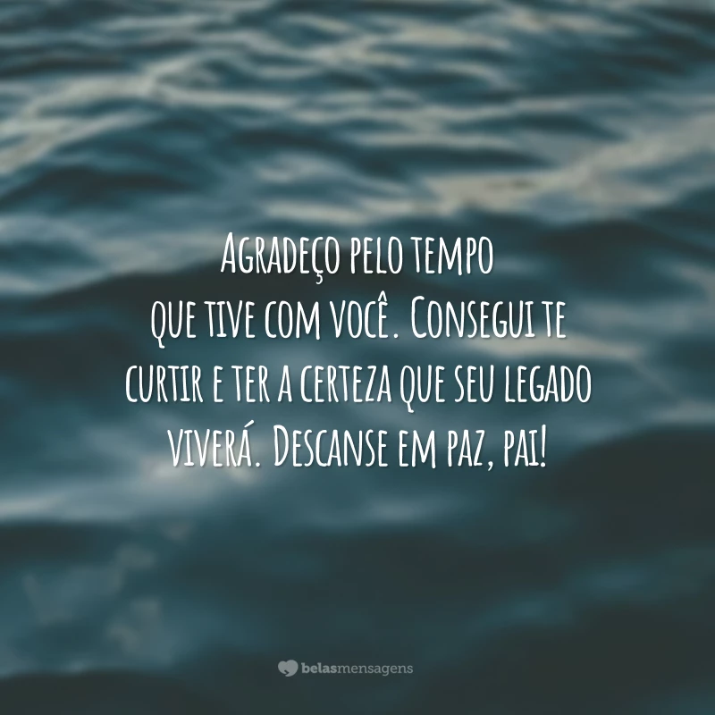 Agradeço pelo tempo que tive com você. Consegui te curtir e ter a certeza que seu legado viverá. Descanse em paz, pai!