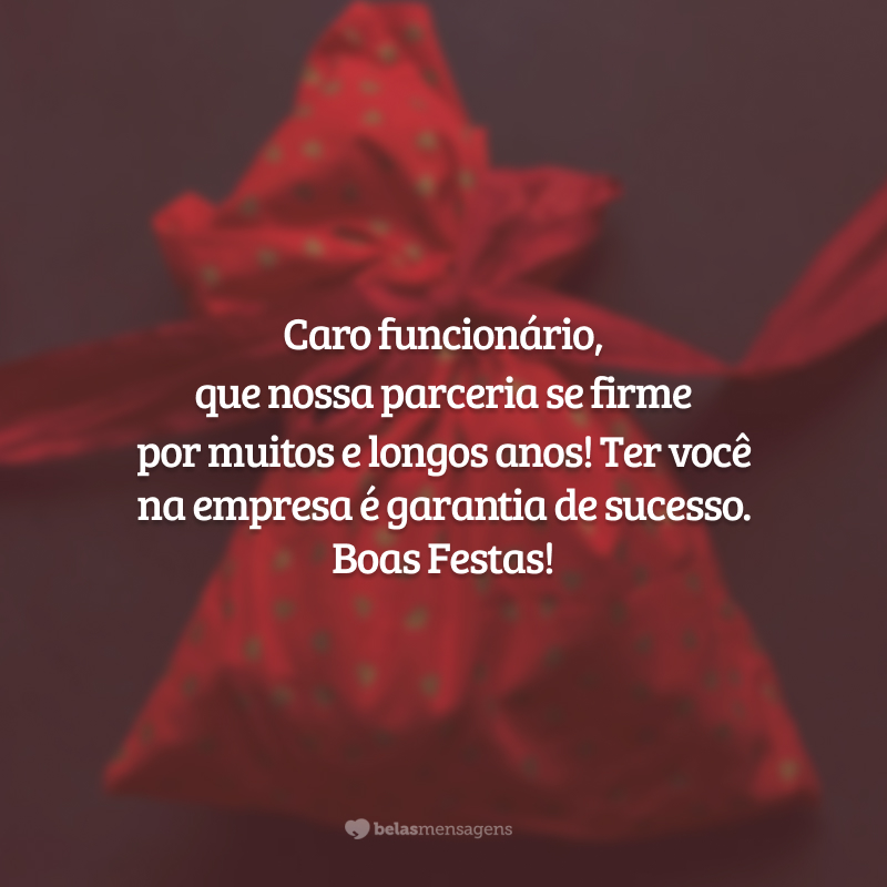 Caro funcionário, que nossa parceria se firme por muitos e longos anos! Ter você na empresa é garantia de sucesso. Boas Festas!