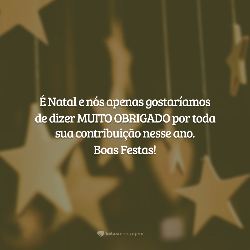 É Natal e nós apenas gostaríamos de dizer MUITO OBRIGADO por toda sua contribuição nesse ano. Boas Festas!