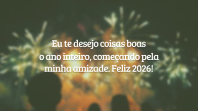 Eu te desejo coisas boas o ano inteiro, começando pela minha amizade.&hellip;