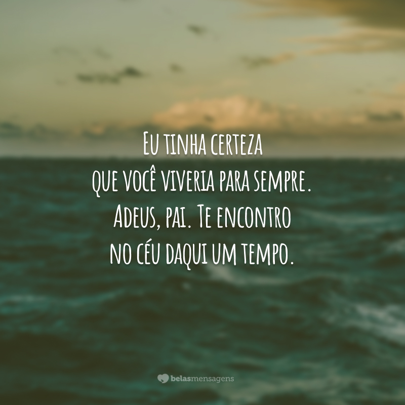 Eu tinha certeza que você viveria para sempre. Adeus, pai. Te encontro no céu daqui um tempo.