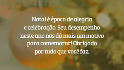 Natal é época de alegria e celebração. Seu desempenho neste ano nos dá mais um motivo para comemorar! Obrigado por tudo que você faz.