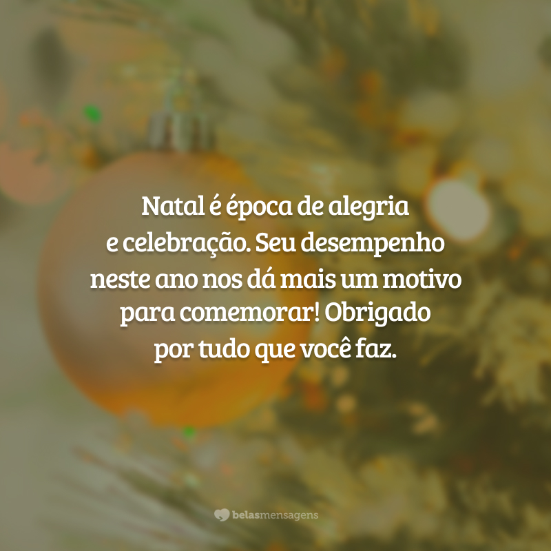 Natal é época de alegria e celebração. Seu desempenho neste ano nos dá mais um motivo para comemorar! Obrigado por tudo que você faz.