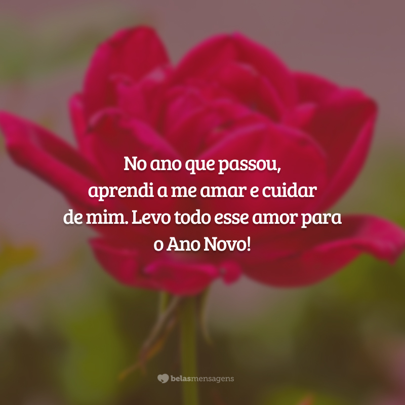 No ano que passou, aprendi a me amar e cuidar de mim. Levo todo esse amor para o Ano Novo!