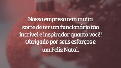 Nossa empresa tem muita sorte de ter um funcionário tão incrível e inspirador quanto você! Obrigado por seus esforços e um Feliz Natal.