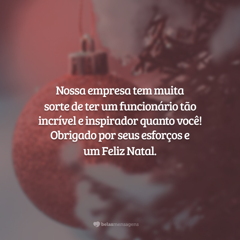 Nossa empresa tem muita sorte de ter um funcionário tão incrível e inspirador quanto você! Obrigado por seus esforços e um Feliz Natal.