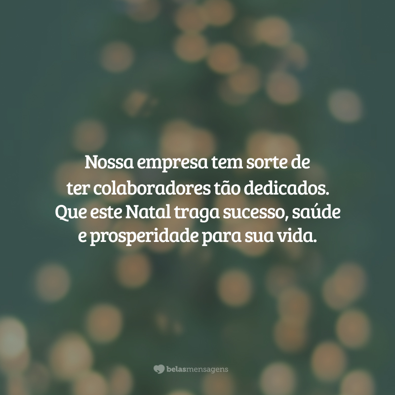 Nossa empresa tem sorte de ter colaboradores tão dedicados. Que este Natal traga sucesso, saúde e prosperidade para sua vida.