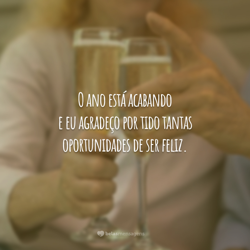 O ano está acabando e eu agradeço por tido tantas oportunidades de ser feliz.