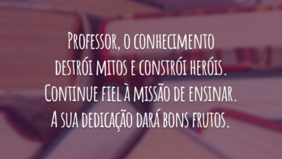 Professor, o conhecimento destrói mitos e constrói heróis. Continue fiel à missão de ensinar. A sua dedicação dará bons frutos.