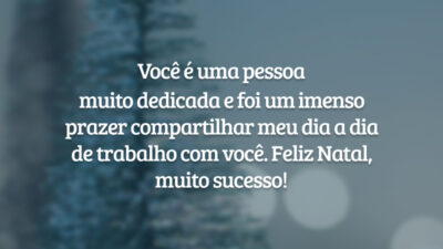 Você é uma pessoa muito dedicada e foi um imenso prazer compartilhar meu dia a dia de trabalho com você. Feliz Natal, muito sucesso!