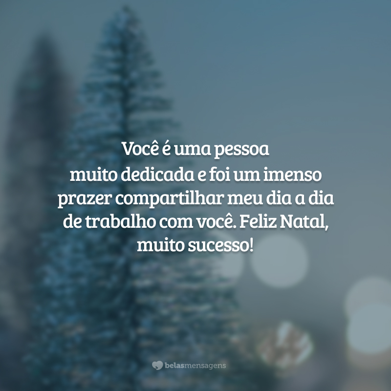 Você é uma pessoa muito dedicada e foi um imenso prazer compartilhar meu dia a dia de trabalho com você. Feliz Natal, muito sucesso!