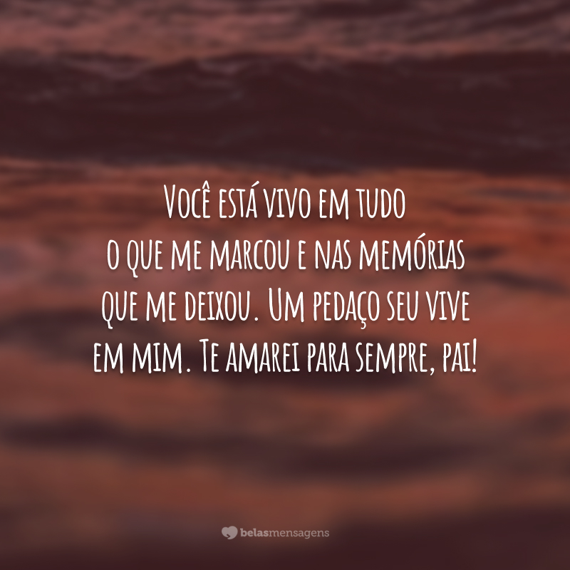 Você está vivo em tudo o que me marcou e nas memórias que me deixou. Um pedaço seu vive em mim. Te amarei para sempre, pai!