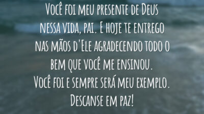 Você foi meu presente de Deus nessa vida, pai. E hoje te entrego nas mãos d'Ele agradecendo todo o bem que você me ensinou. Você foi e sempre será meu exemplo. Descanse em paz!